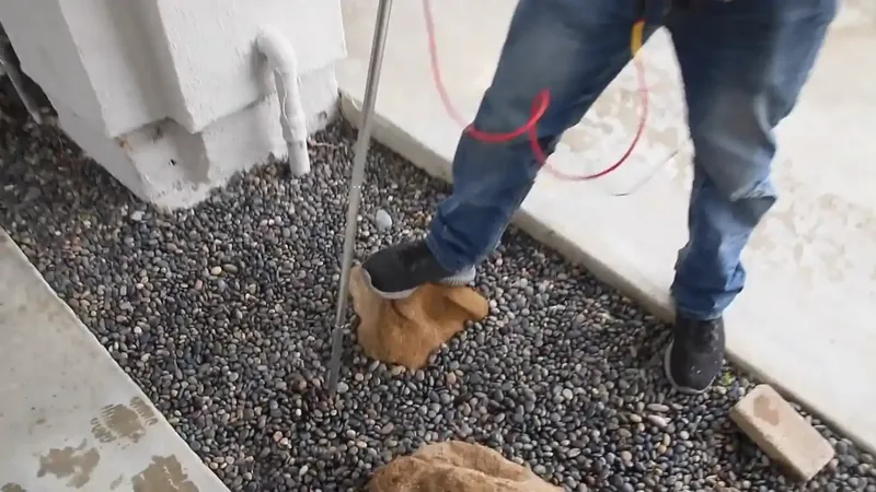 Irrigation Leaks During Colorado Drought Watch: What Longmont Homeowners Are Paying for Without Knowing